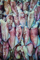 Obraz premium fish market abu dhabi, fish, market, fhish in ice, Shrims, seafo