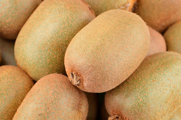 Green kiwi fruit (Actinidia deliciosa)