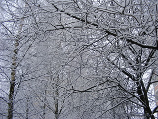 Obraz premium winter in russia