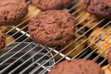 baked chocolate cookies laying on a rack