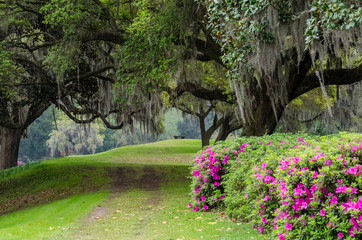 Magnolia Plantation & Gardens Gate 5 © anwin
