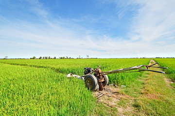 Green rice field with pump feeding