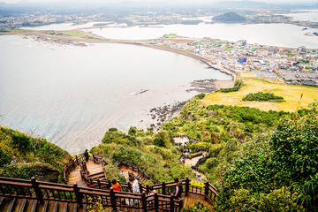 Naklejka premium View from Seongsan Ilchulbong (