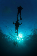 Scuba dive