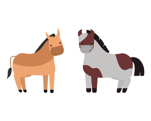 Different horses breed vector set.