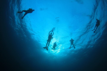 Scuba dive