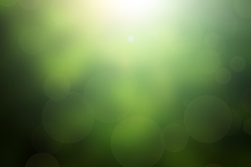 clover leaf in lens flare for Valentine background