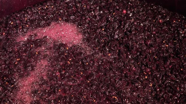 Harvest red vine-Cellar, Worker processing freshly harvested grapes in barrel 