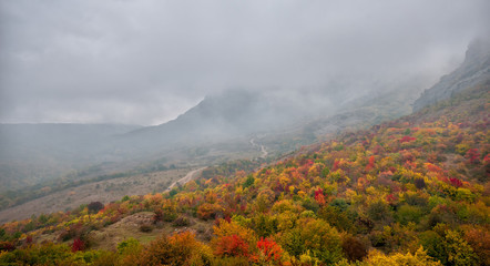 Panorama of beautiful colourful autumn landscape in mountains