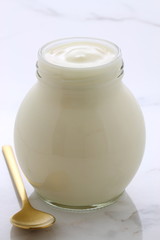 plain french style yogurt