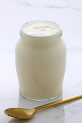 plain french style yogurt