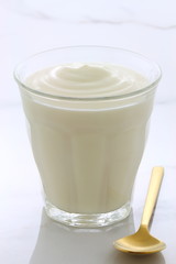plain french style yogurt