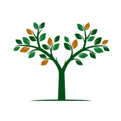 Obraz premium Green Tree with Leafs. Vector Illustration.