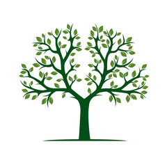 Obraz premium Green Tree with Leafs. Vector Illustration.