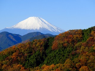 富士山