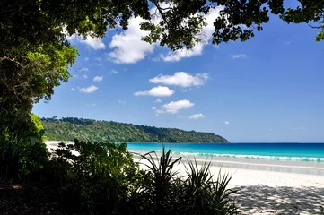Stickers fenêtre Plage tropicale Stunning view of Radhanagar Beach on Havelock Island with trees and bushes in the foreground. Havelock Island is a beautiful small island belonging to the Andaman & Nicobar Islands in India, Asia.