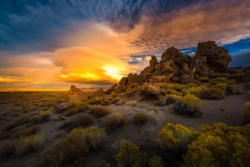 Poster de jardin Nature Pyramid Lake Nevada Tufas at Sunset