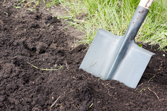 Shovel digging. Treatment of the soil.