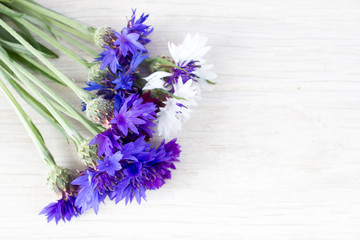 Bouquet of cornflowers. The view from the top.