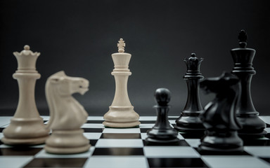 Black and White King and Knight of chess setup on dark backgroun