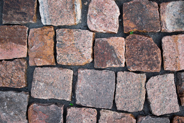 A walking path made of bricks