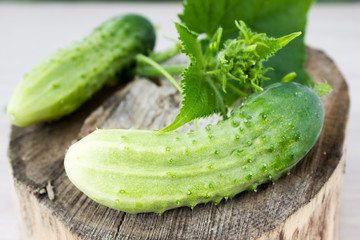 Green cucumber on a wooden table