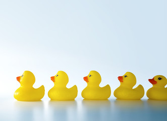 Leadership concept with yellow rubber ducks leading among white.