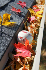 Rain gutter full of autumn leaves and a baseball
