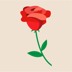 rose. lovely and cute flat design. vector illustration.