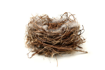 Birds nest
