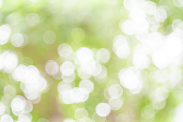 Obraz premium White and green nature bokeh circular shape, abstract background.