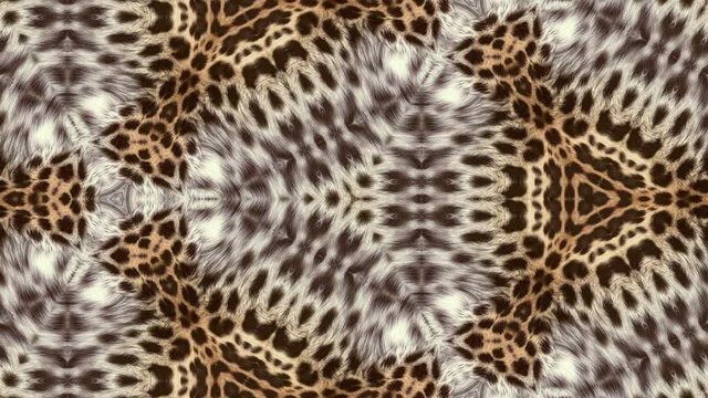 Abstract background rolling in seamless loop. Natural fur kaleidoscopic pattern. Animation of abstract background shapes. Natural exotic oriental pattern originally based on leopard fur.