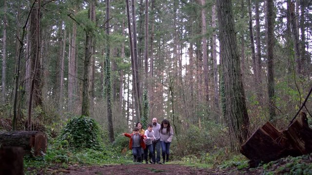 A family walking through the forest, kids running toward the camera