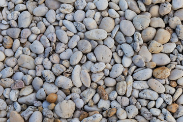 Natural white color stone background, outdoor late afternoon light