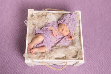 sweet newborn sleeping in square cot on violet background