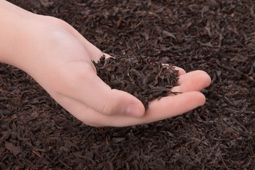 Black tea in hand girl