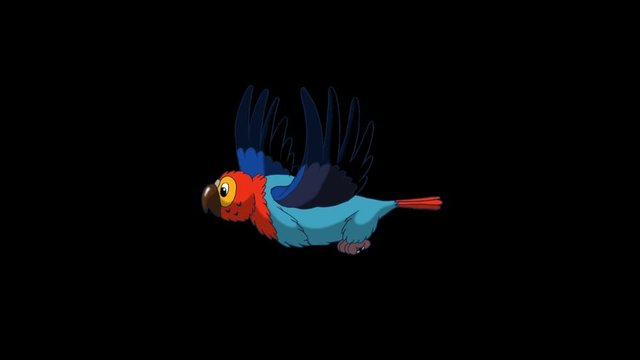 Colorful Parrot Flies. Animated footage with alpha channel. Looped motion graphic