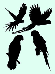 Parrots animal silhouette. Good use for symbol, logo, web icon, mascot sign, or any design you want.