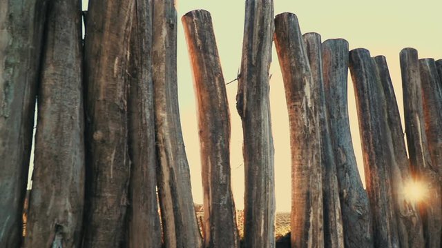holzzaun aus gro&szlig;en baumst&auml;mmen, im hintergrund sonnenuntergang mit sunflare
