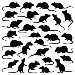 Fototapeta na wymiar Rat and mouse collection - vector silhouette