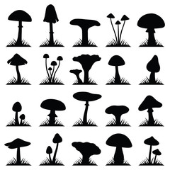 Mushroom and toadstool collection - vector silhouette - obrazy, fototapety, plakaty