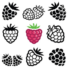 Raspberry icon collection - vector illustration - obrazy, fototapety, plakaty