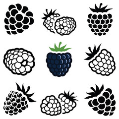 Blackberry icon collection - vector illustration