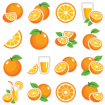 Orange fruit icon collection - color vector 