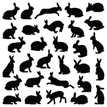 Rabbit and Hare collection - vector silhouette