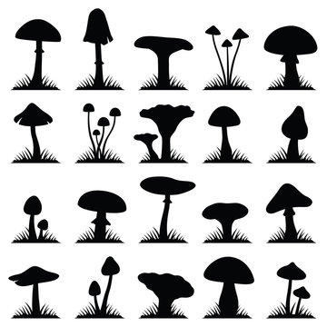 Mushroom and toadstool collection - vector silhouette