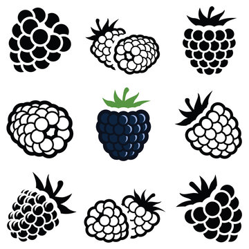 Blackberry icon collection - vector illustration