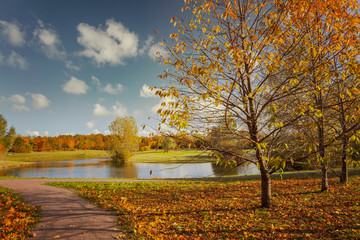 Autumn park with pond