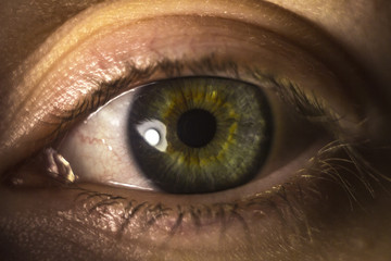 Macro image of woman eye