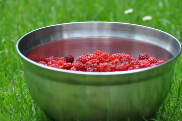 raspberries in bowl